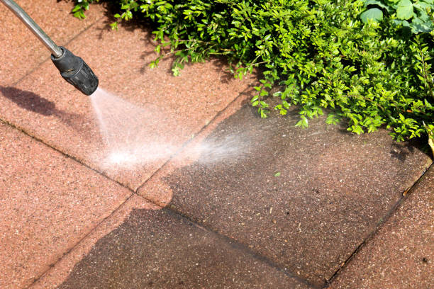 Deck Cleaning Services in Bronx, NY